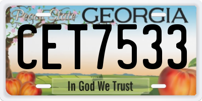 GA license plate CET7533