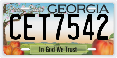 GA license plate CET7542