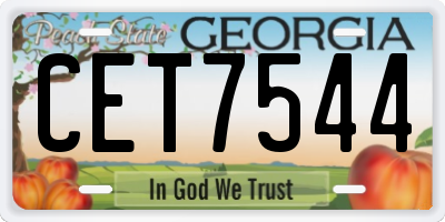 GA license plate CET7544