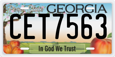 GA license plate CET7563