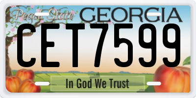 GA license plate CET7599