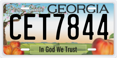 GA license plate CET7844