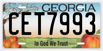 GA license plate CET7993