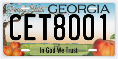 GA license plate CET8001