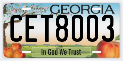 GA license plate CET8003