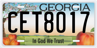 GA license plate CET8017