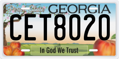 GA license plate CET8020