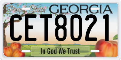 GA license plate CET8021