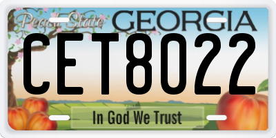GA license plate CET8022