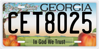 GA license plate CET8025