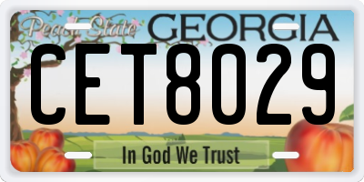 GA license plate CET8029