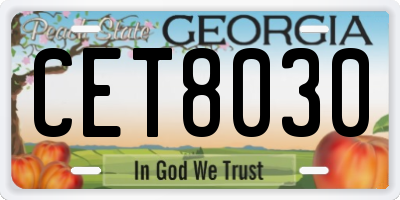 GA license plate CET8030