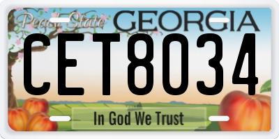 GA license plate CET8034