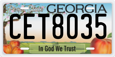 GA license plate CET8035