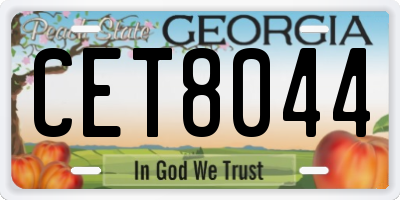 GA license plate CET8044
