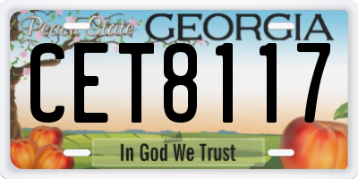 GA license plate CET8117