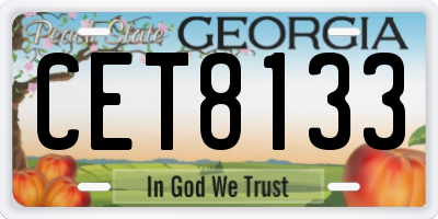 GA license plate CET8133