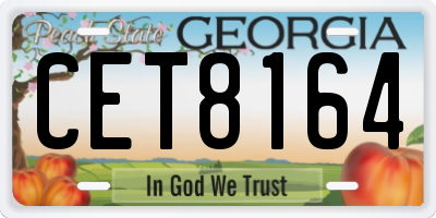 GA license plate CET8164