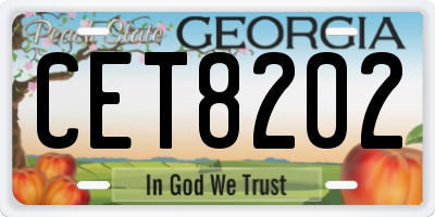 GA license plate CET8202