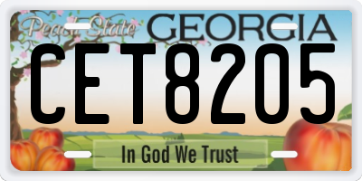 GA license plate CET8205
