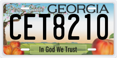 GA license plate CET8210