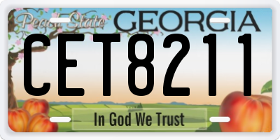 GA license plate CET8211