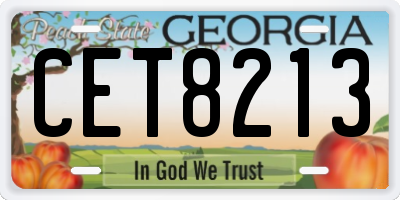 GA license plate CET8213