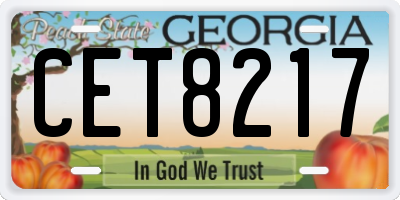 GA license plate CET8217