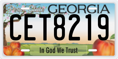 GA license plate CET8219