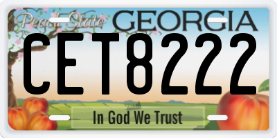 GA license plate CET8222