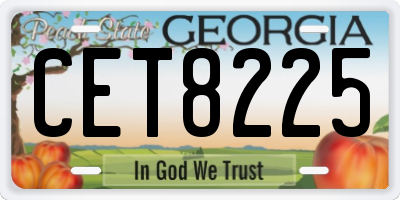 GA license plate CET8225