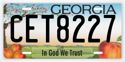 GA license plate CET8227