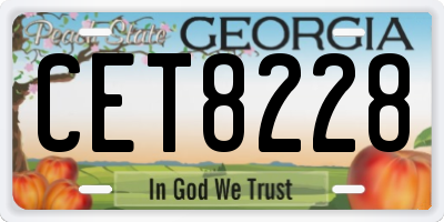 GA license plate CET8228