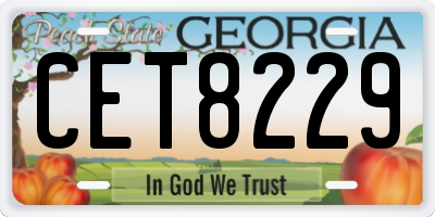 GA license plate CET8229
