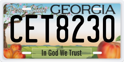 GA license plate CET8230