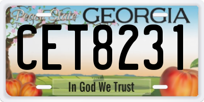 GA license plate CET8231