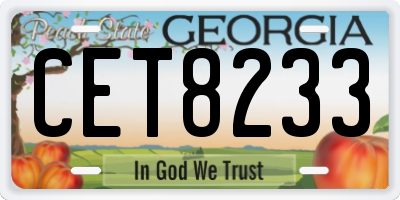 GA license plate CET8233