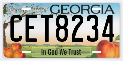 GA license plate CET8234