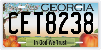 GA license plate CET8238