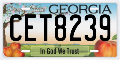 GA license plate CET8239