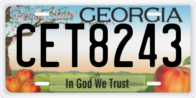 GA license plate CET8243