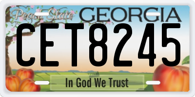 GA license plate CET8245