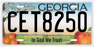 GA license plate CET8250