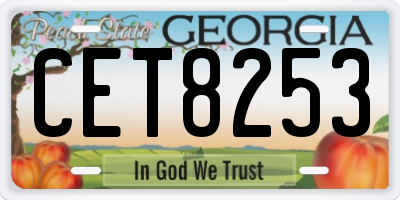 GA license plate CET8253