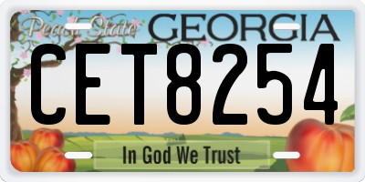 GA license plate CET8254