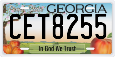 GA license plate CET8255