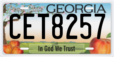 GA license plate CET8257