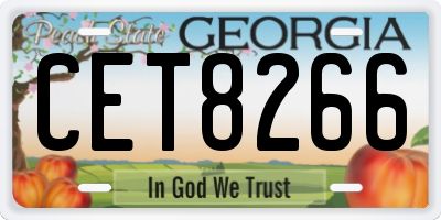 GA license plate CET8266