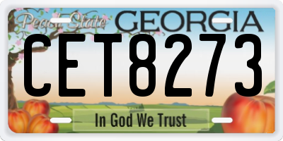 GA license plate CET8273