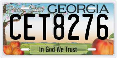 GA license plate CET8276